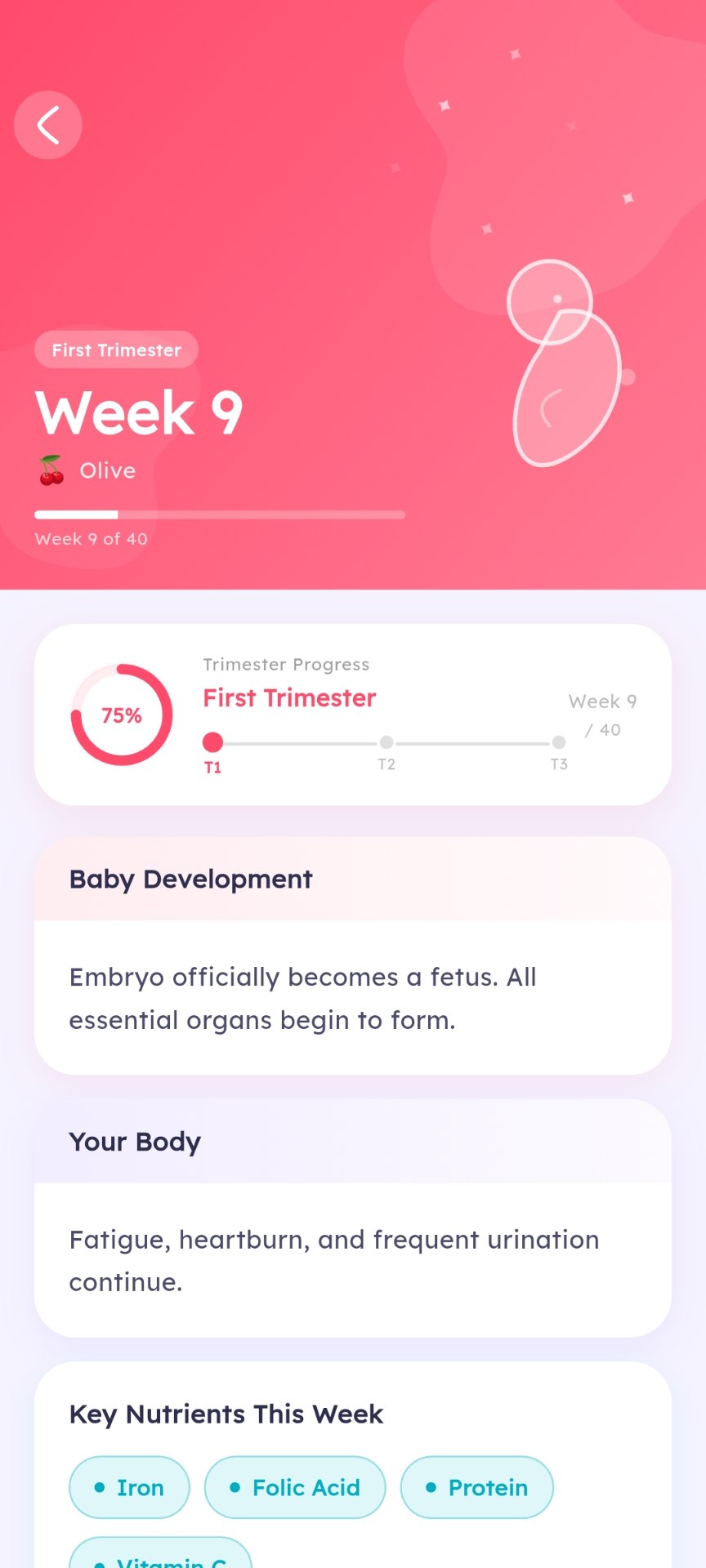 Pregnancy Tracking interface
