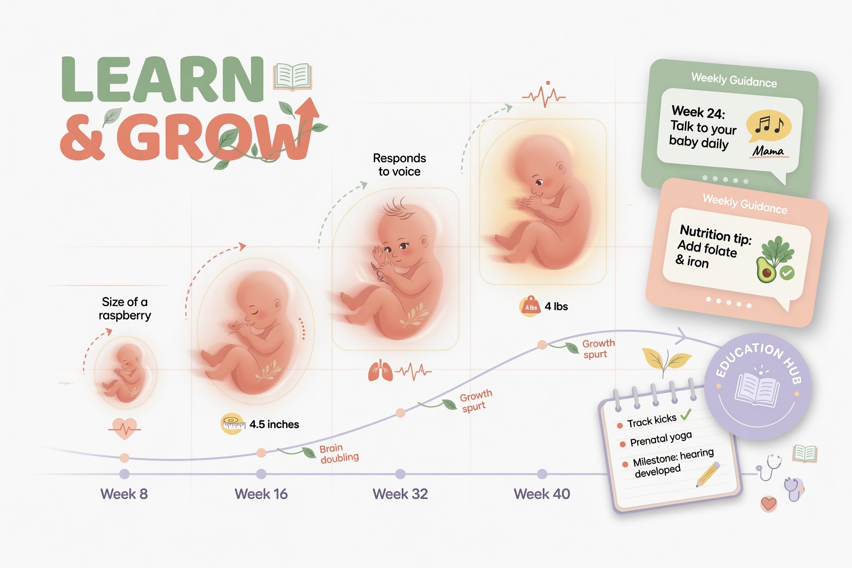Baby progress interface