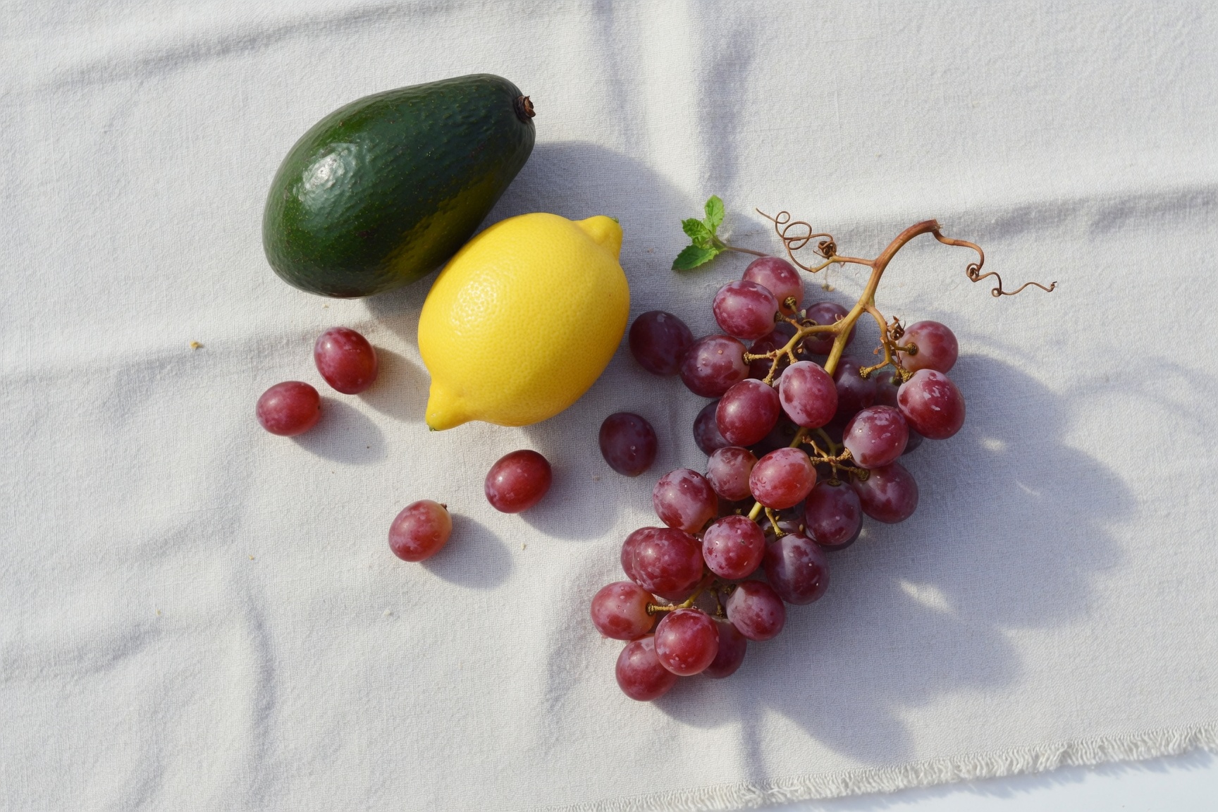 Baby Size & Fruit Comparison Chart